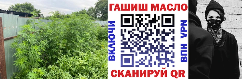 ТГК концентрат  Энгельс 