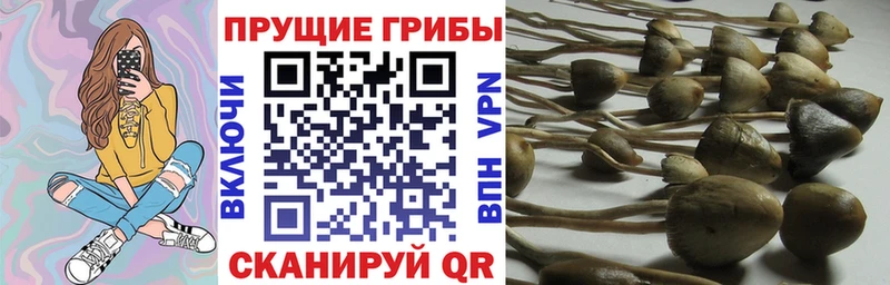 хочу наркоту  Энгельс  Галлюциногенные грибы мухоморы 
