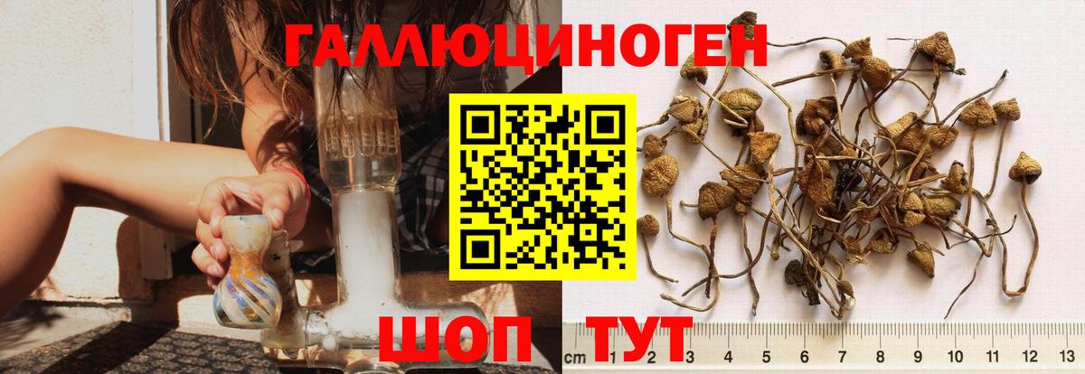 Энгельс  наркота  Вход с VPN  Псилоцибиновые грибы MAGIC MUSHROOMS 